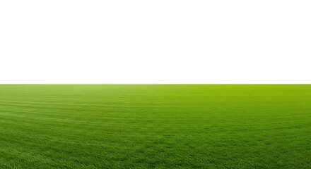 A vibrant green grass field with lush blades stretching towards the horizon in a seamless pattern isolated on white background