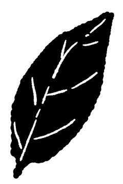 Single Basil Leaf Stamp Style Vector