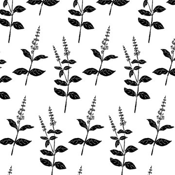 Seamless Basil Herb Background Pattern Vector