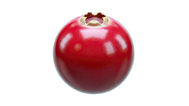 Single Red Cranberry