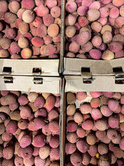 fresh and ripe lychees in boxes