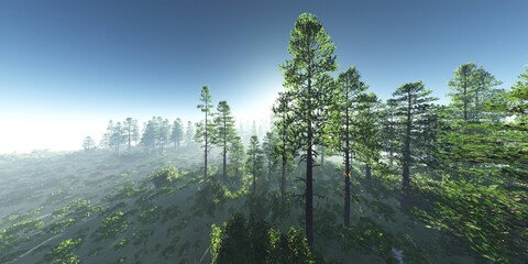 Forest in the morning in a fog in the sun, trees in a haze of light, glowing fog among the trees, 3D rendering