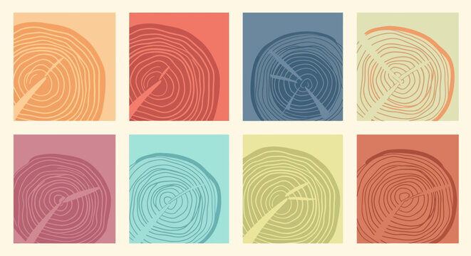 Vibrant graphic art showcasing abstract wood grain patterns with detailed tree ring cross-sections, a modern collection of natural texture designs in diverse colors