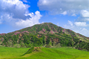 絶景　草千里ヶ浜
「新緑の阿蘇に、期間限定で現れるピンク色の世界。」
阿蘇市
Spectacular View of Kusasenrigahama Beach
"A pink world appears for a limited time amid the fresh greenery of Aso."
Aso City