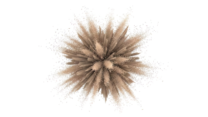 Abstract Exploding Geometric Form