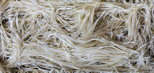 Growing microgreens. Sprouted pea roots as background. Top view.