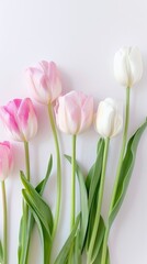 Fototapeta premium Tulips Floral spring background. Floral background with tulips and assorted blooming flowers. Fresh colorful flower composition for seasonal design, invitations, banners and decorative projects. 