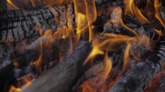 Burning with Intensity  A Blazing Look at Wood Fire Flame