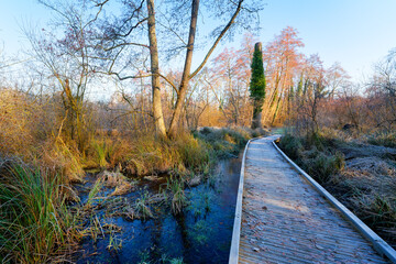 Wooden Path on the Sensitive Natural Area The Cercanceaux Marsh in Souppes-sur-Loing village