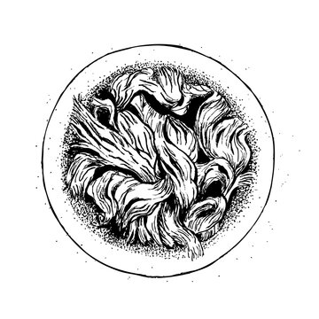 Ilustraci&oacute;n vectorial editable plato con carne desmechada, dibujo realista, lapiz