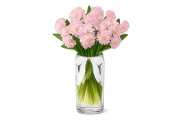 Obraz premium Pink flowers blooming in glass vase on transparent background