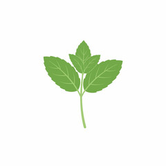 Obraz premium Illustration of a sprig with three green leaves on a white background
