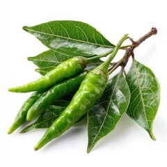Fresh green chili peppers on a leafy branch.