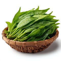 Fresh green leaves in a woven basket, glistening with water droplets.
