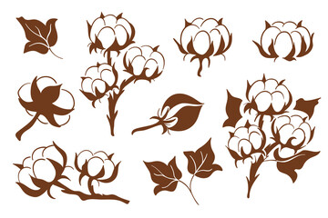 Set of cotton plant with bolls, branches and leaves in line art style. Botanical illustration collection on white background for textile design, packaging, logo and branding.