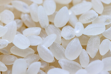 生の白い米粒の質感