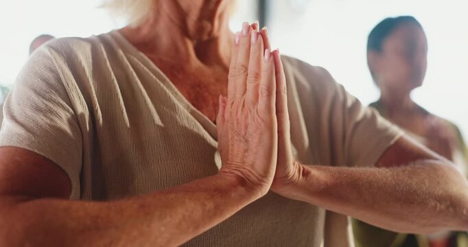 Meditation, instructor and hands in class, namaste and routine for mindfulness, wellness and healing. Prayer, session and elderly people with spiritual awareness, inner peace and stress relief