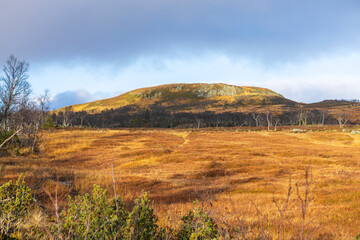 Bj&oslash;rgkleppen in Holt&aring;len, Tr&oslash;ndselag, Norway