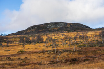 Fototapeta premium Bjørgkleppen in Holtålen, Trøndselag, Norway
