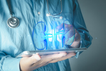 Medical technology,Kidney health concept. Doctor hand using tablet with holographic kidney organ scan.Future healthcare innovation, nephrology diagnosis,urology treatment,renal failure analysis.