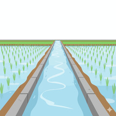 Irrigation canal supplying water to green rice paddies under a white sky