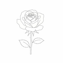 Outline drawing of a single rose on a stem with two leaves