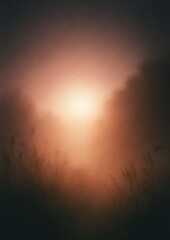 Misty sunrise landscape with soft light