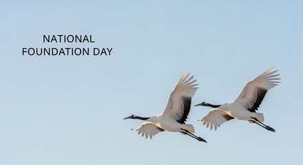 Fototapeta premium Graceful Japanese red-crowned cranes flying against a clear sky, embodying tradition and new beginnings for the National Foundation Day of Japan concept.