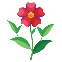anagallis arvensis flower vector illustration