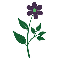 anagallis arvensis silhouette vector