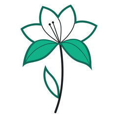 amaryllis line art flower