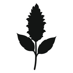 amaranthus silhouette on white