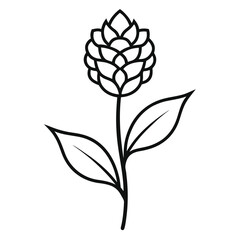 amaranthus line  art  flower vector isolated