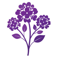 alyssum purple silhouette on white background