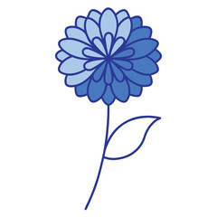 ageratum blue danube line art flower vector on white