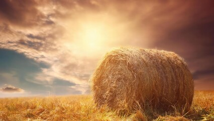 Fototapeta premium A large round hay bale rests in a golden field under a dramatic sunset sky. Concept Golden hour landscape, Hay bale in field, Rural sunset, Dramatic sky, Farm life