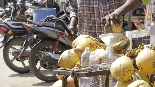 Enchanting Mango Madness  A Whiff of Exotic Delight