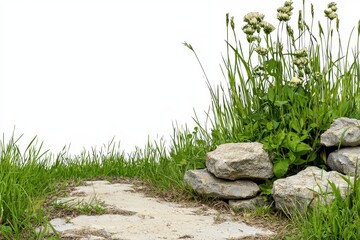 Rustic Pathway Through Verdant Landscape with Gray Stones and White Flowers