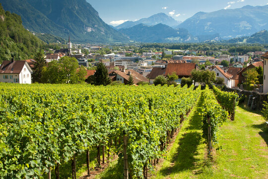 The panorama landscape of the capital Vaduz view with foggy mountains on the background and lush vineyard in the foregroundю Vaduz, Liechtenstein