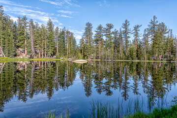 A lake with a forest in the background