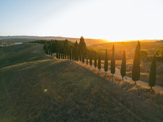 Fototapeta premium Sunset over a picturesque row of cypress trees on a hillside in Tuscany, Italy, creating a tranquil and scenic landscape. Italy Tuscany