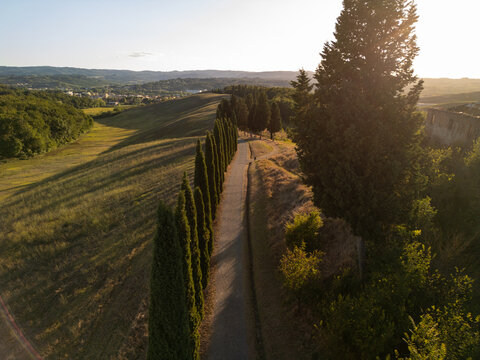Aerial view of a scenic tree-lined path in the countryside during sunset. Italy Tuscany