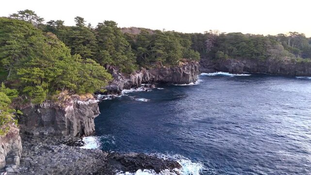 夕日に染まる城ケ崎海岸の断崖絶壁と松林│ダイナミックなドローン空撮
