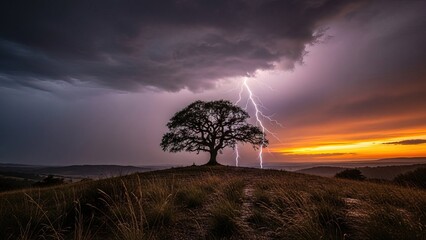 Dramatic lone tree with lightning storm at golden sunset over field