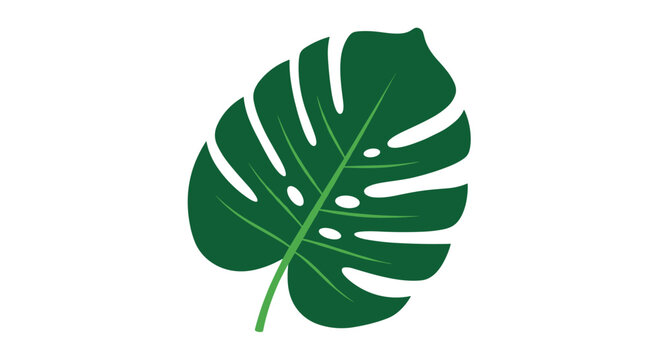 Single large dark green monstera leaf with its characteristic holes and split edges shown in a clean flat design style.