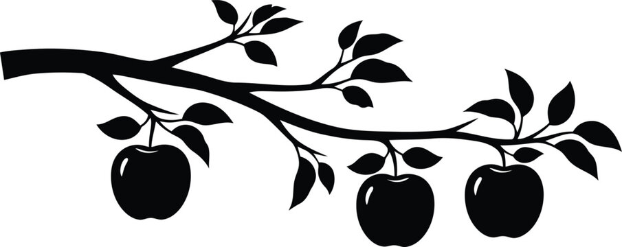 Apple branch vector silhouette with leaves and fruit isolated on white background