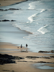  People Walking with Dogs on Scenic Coastal Beach