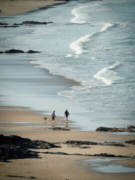  People Walking with Dogs on Scenic Coastal Beach