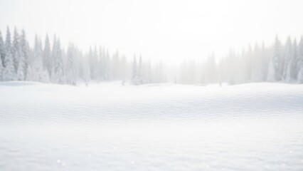 Photorealistic winter solstice scene with a soft snowy field, distant frosted pine trees, gentle morning fog, and bright diffused light creating a calm minimalist atmosphere