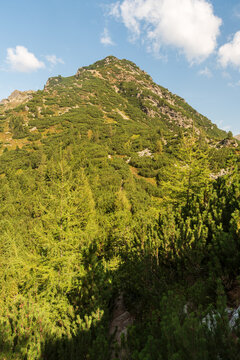 Nizna Magura from Nizny Ostredok hill in Otrhance mountain ridge in Western Tatras mountains in Slovakia